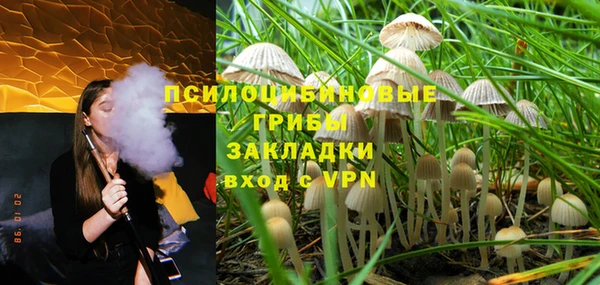 молекула духа Алексин