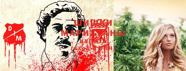 круглые Алексеевка
