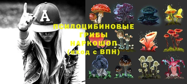 молекула духа Алексин