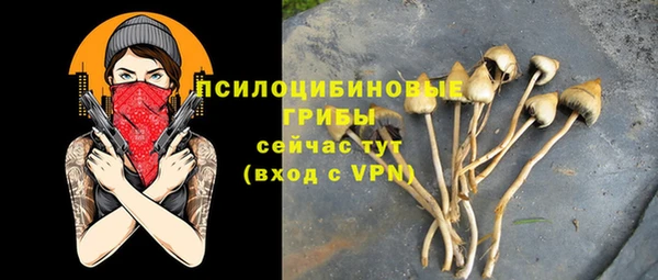 трава Алзамай