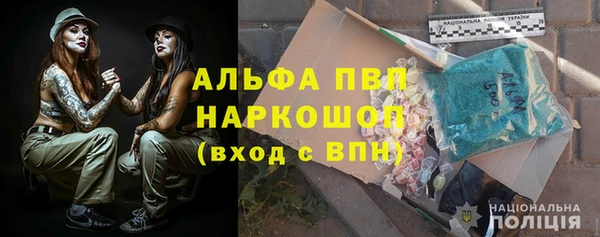 гидра Надым