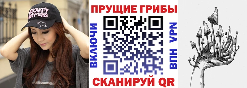 Псилоцибиновые грибы MAGIC MUSHROOMS  как найти закладки  Родники 